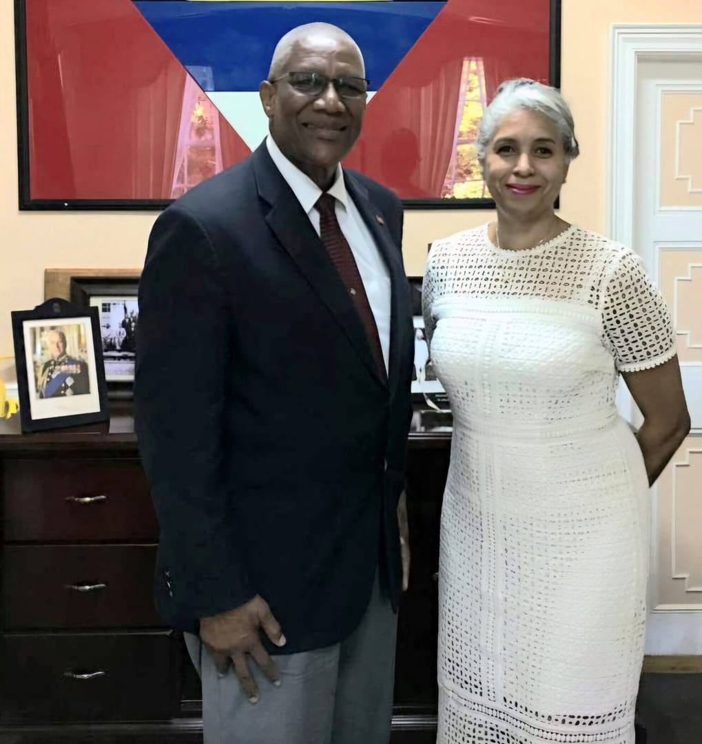 His Excellency Sir Rodney Williams and Mrs Blondel Cluff