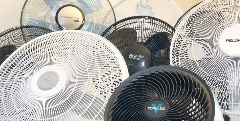 fans