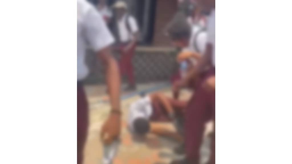 school_fight_guyana_