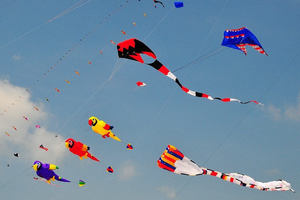 kite