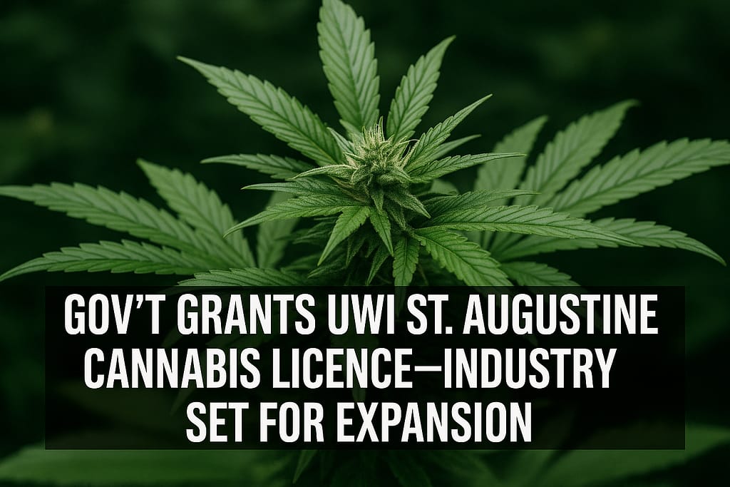 Antigua Grants UWI St. Augustine Cannabis Research Licence
