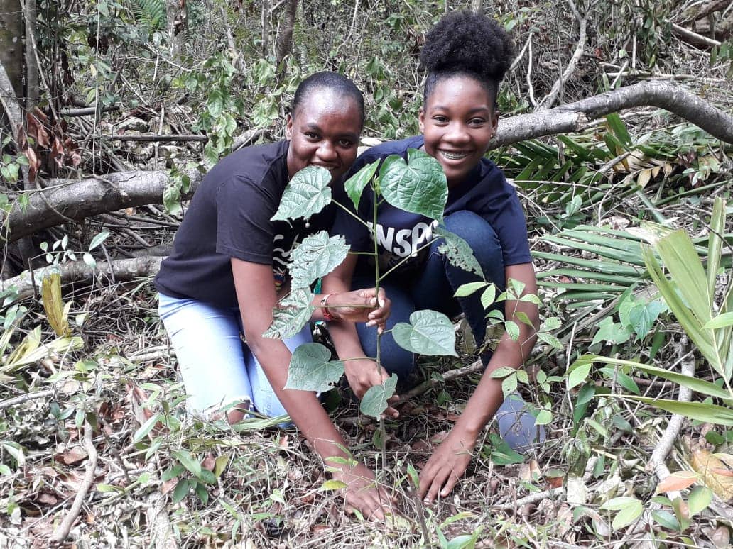 SF Ambassador and teen volunteer Plant Trees