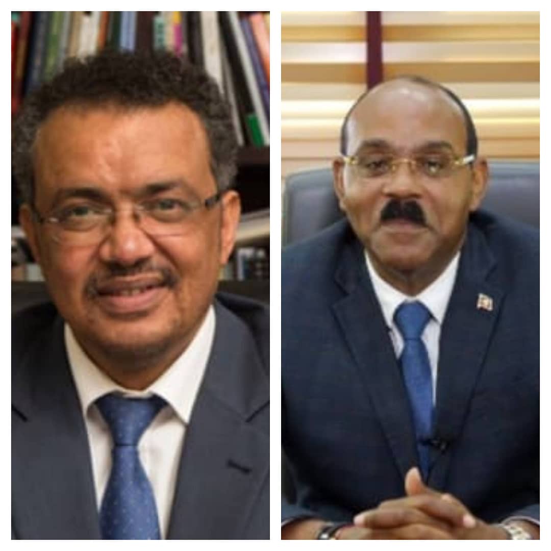 tedros'