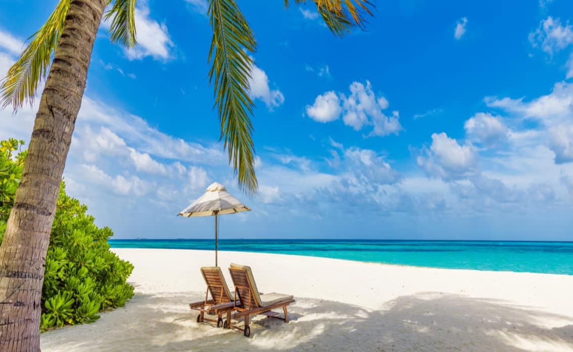 Screenshot_30-12-2025_63520_travelnoire.com