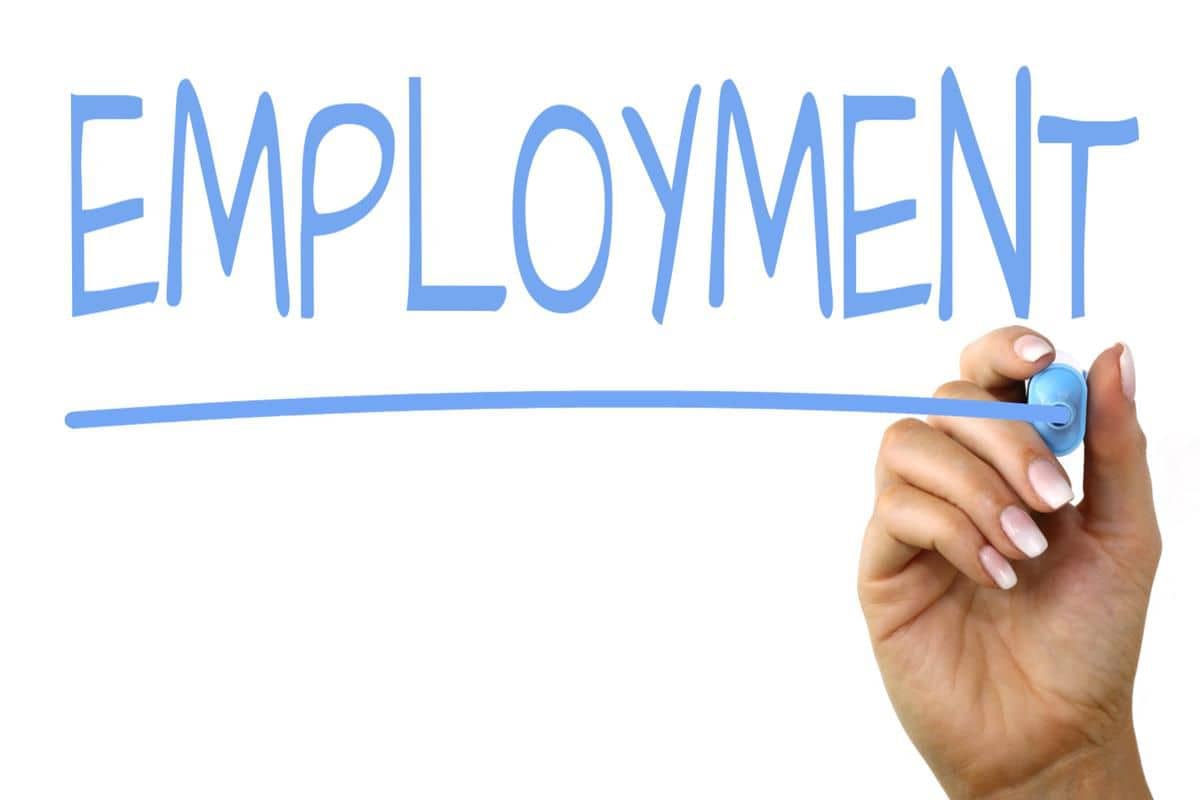 EMPLOYMENT