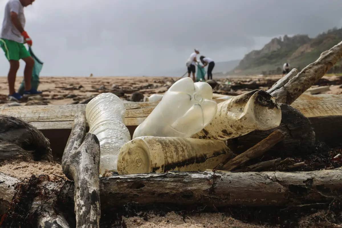 plastic-pollution