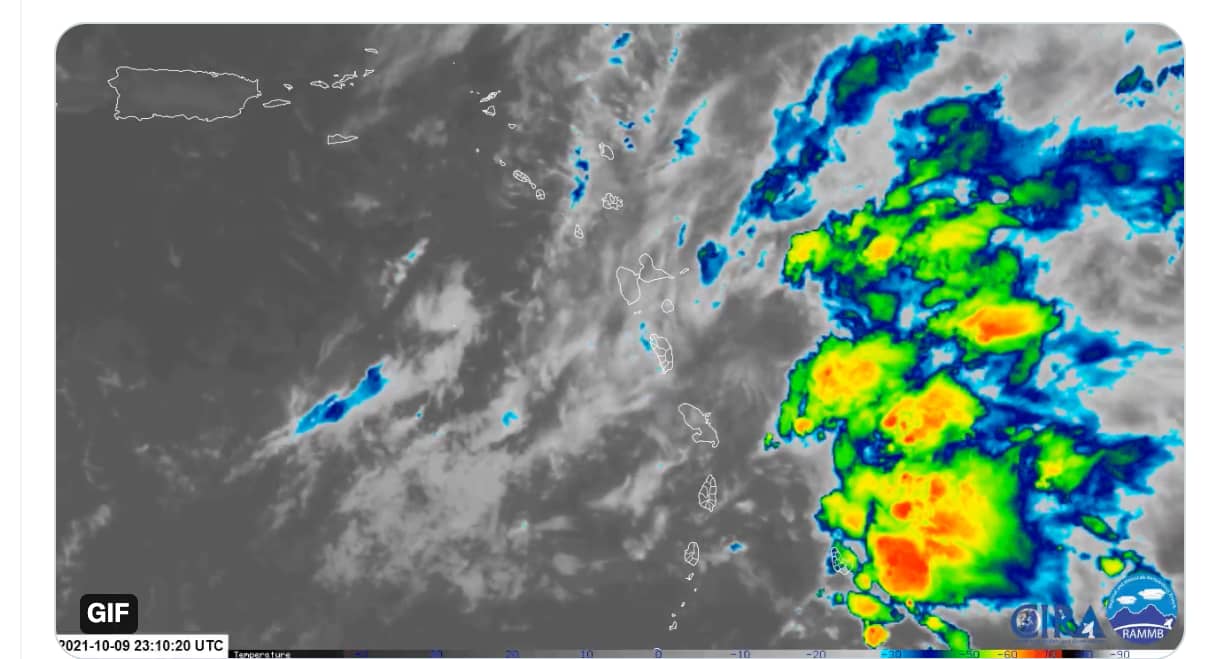 Screen Shot 2021-10-10 at 11.31.16 AM