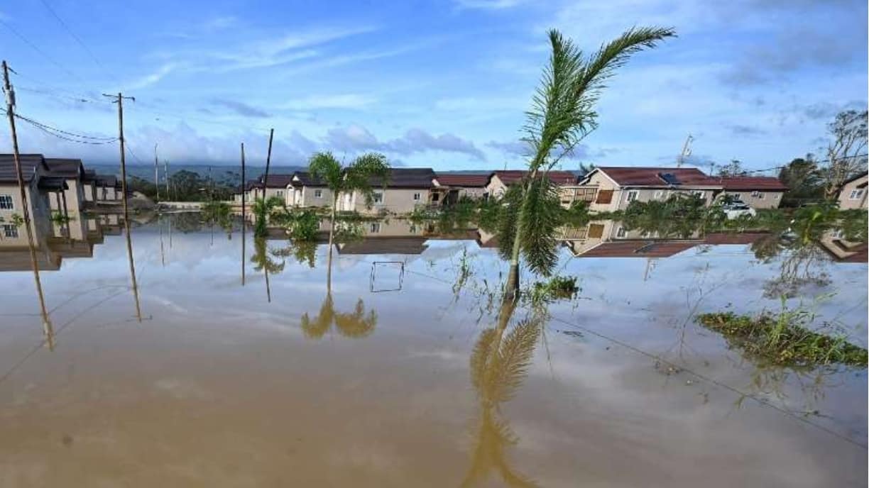 Screenshot_29-10-2025_144250_revonews.ai