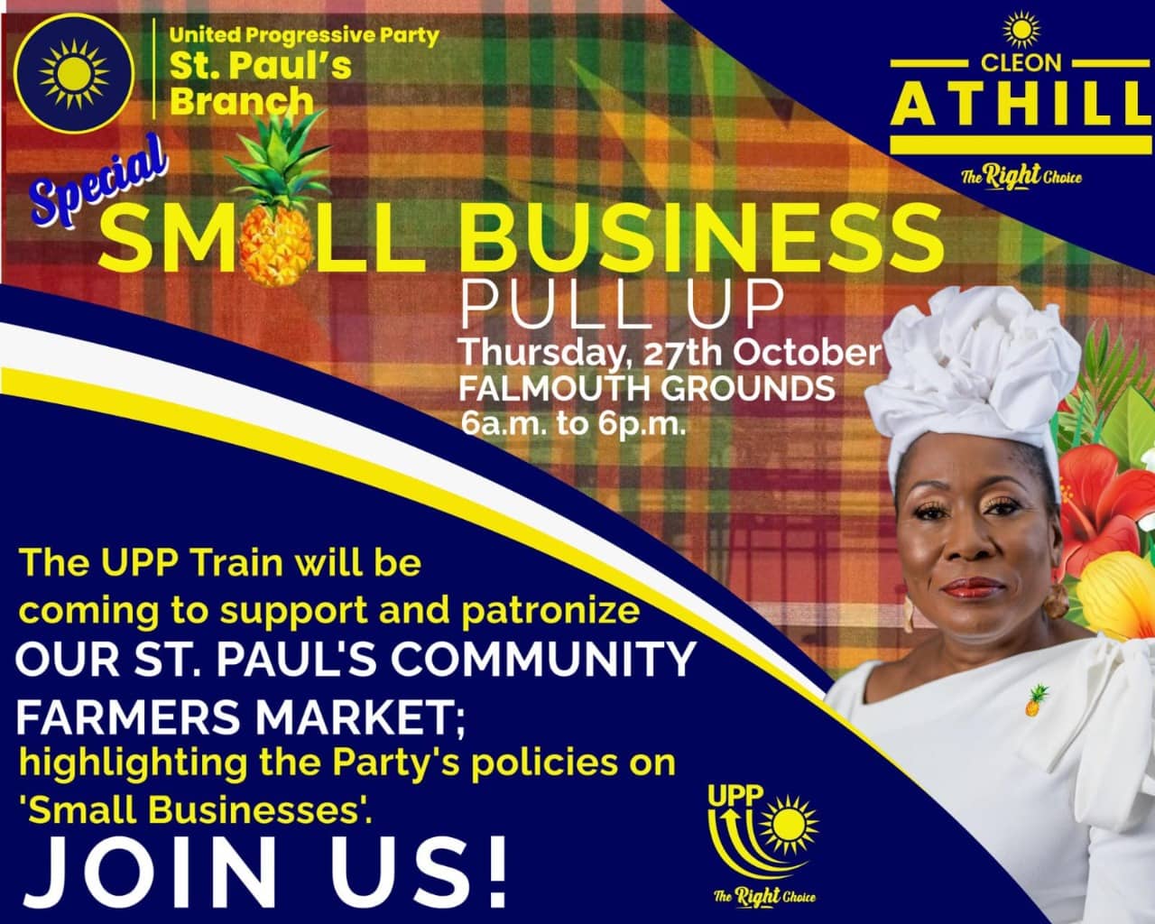 UPP Small Biz Pull-Up St. Paul 1