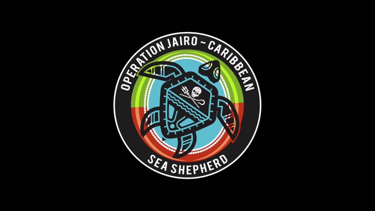 Efforts ongoing to protect sea turtle nesting sites on Barbuda
