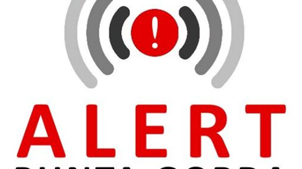 alert