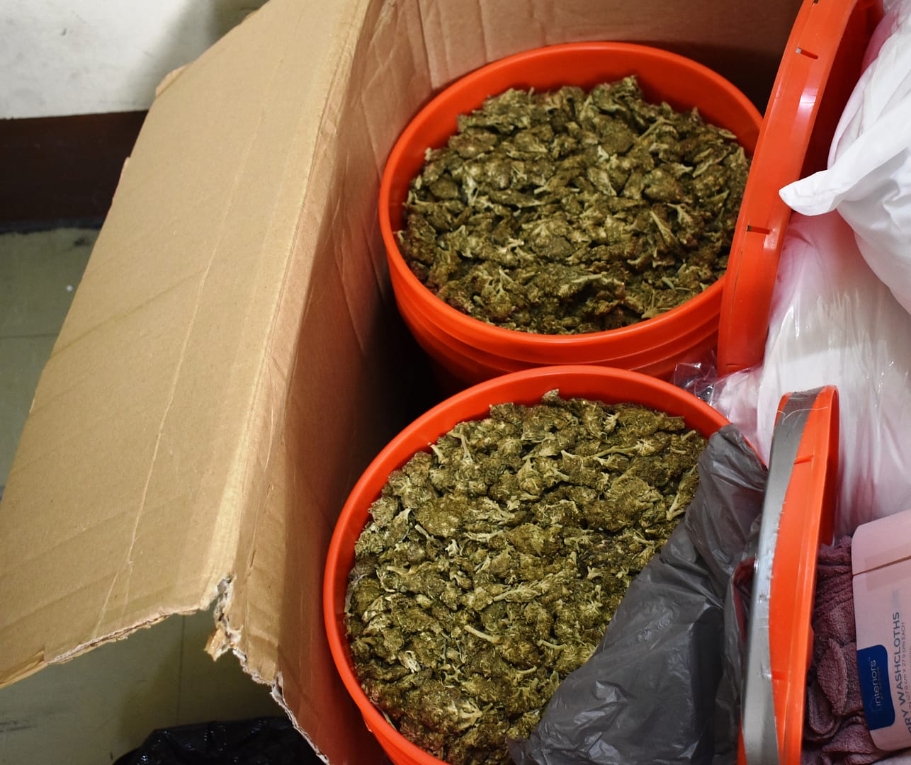 Seizure at Airport