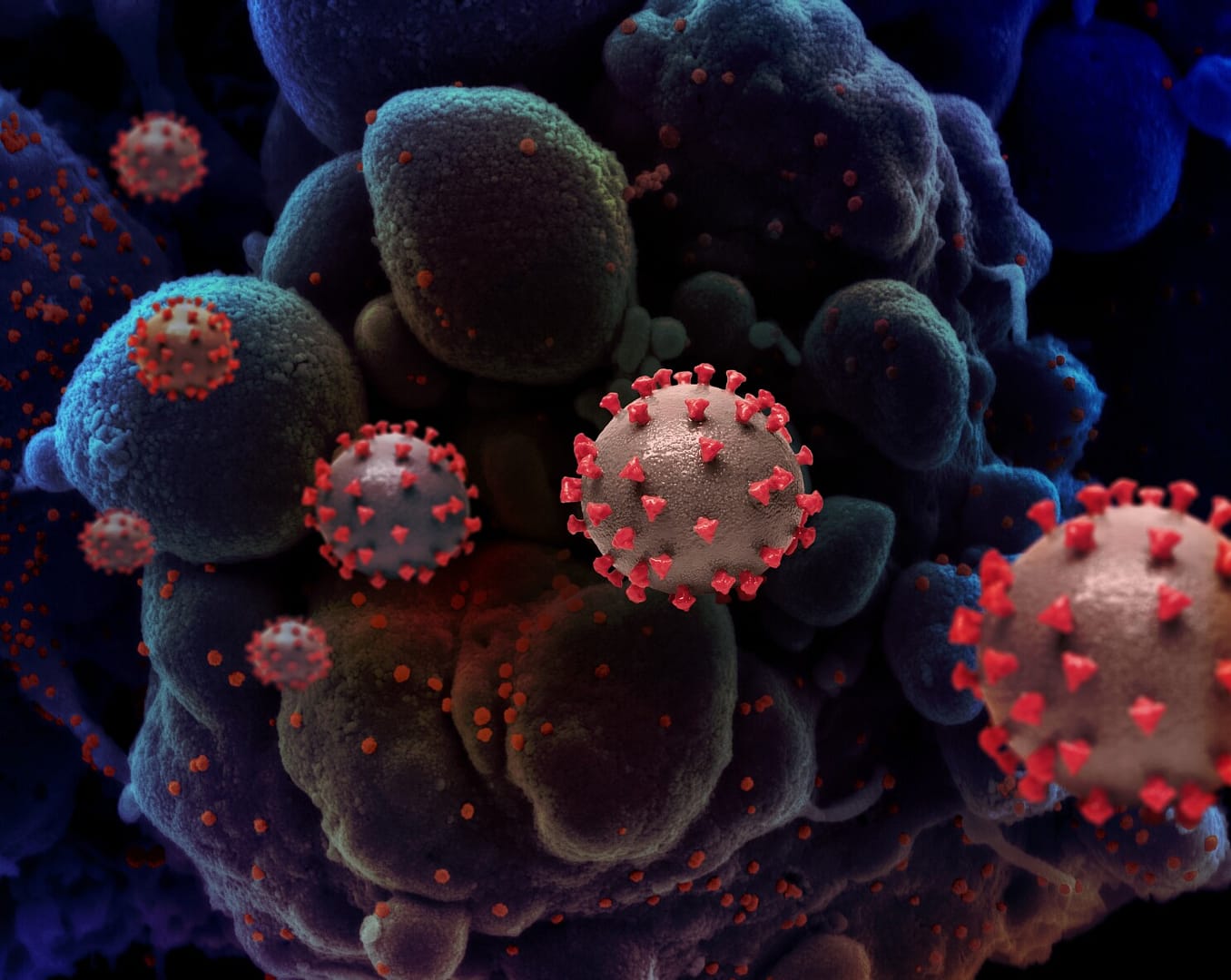 coronavirus-mutant-covid