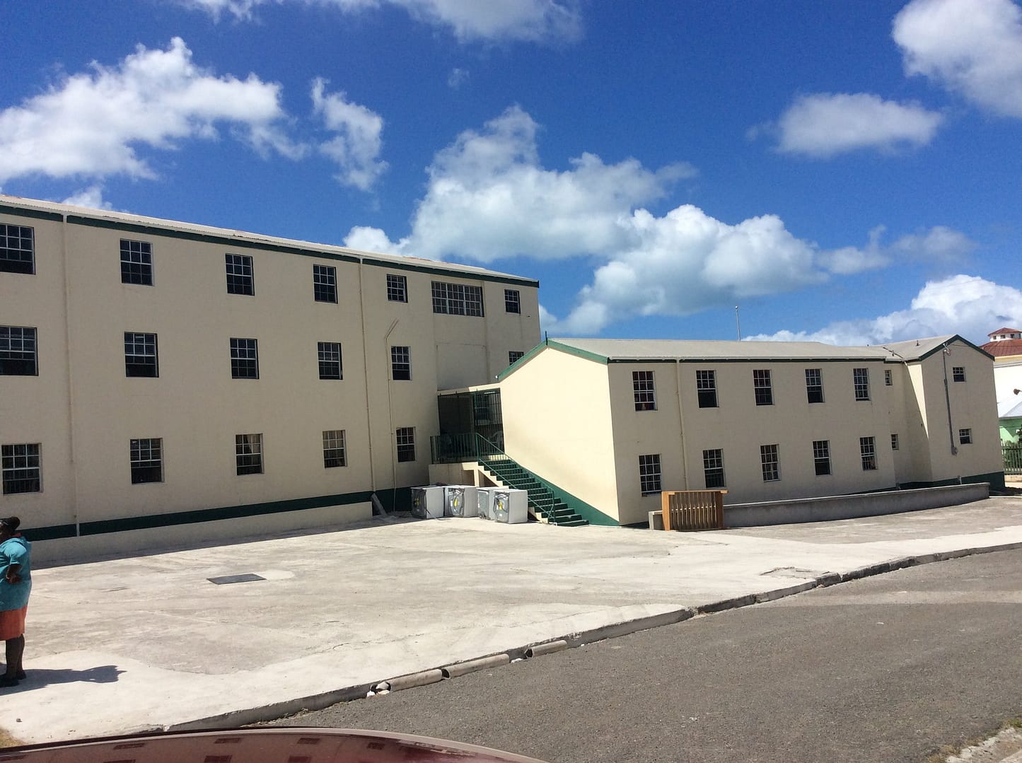 Fiennes Institute