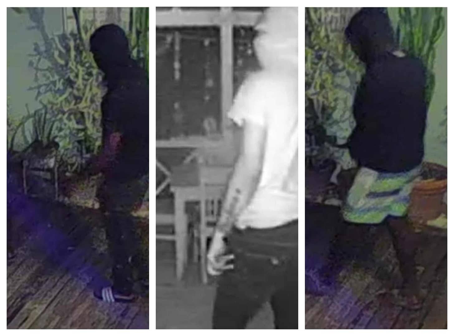 BURGLARS