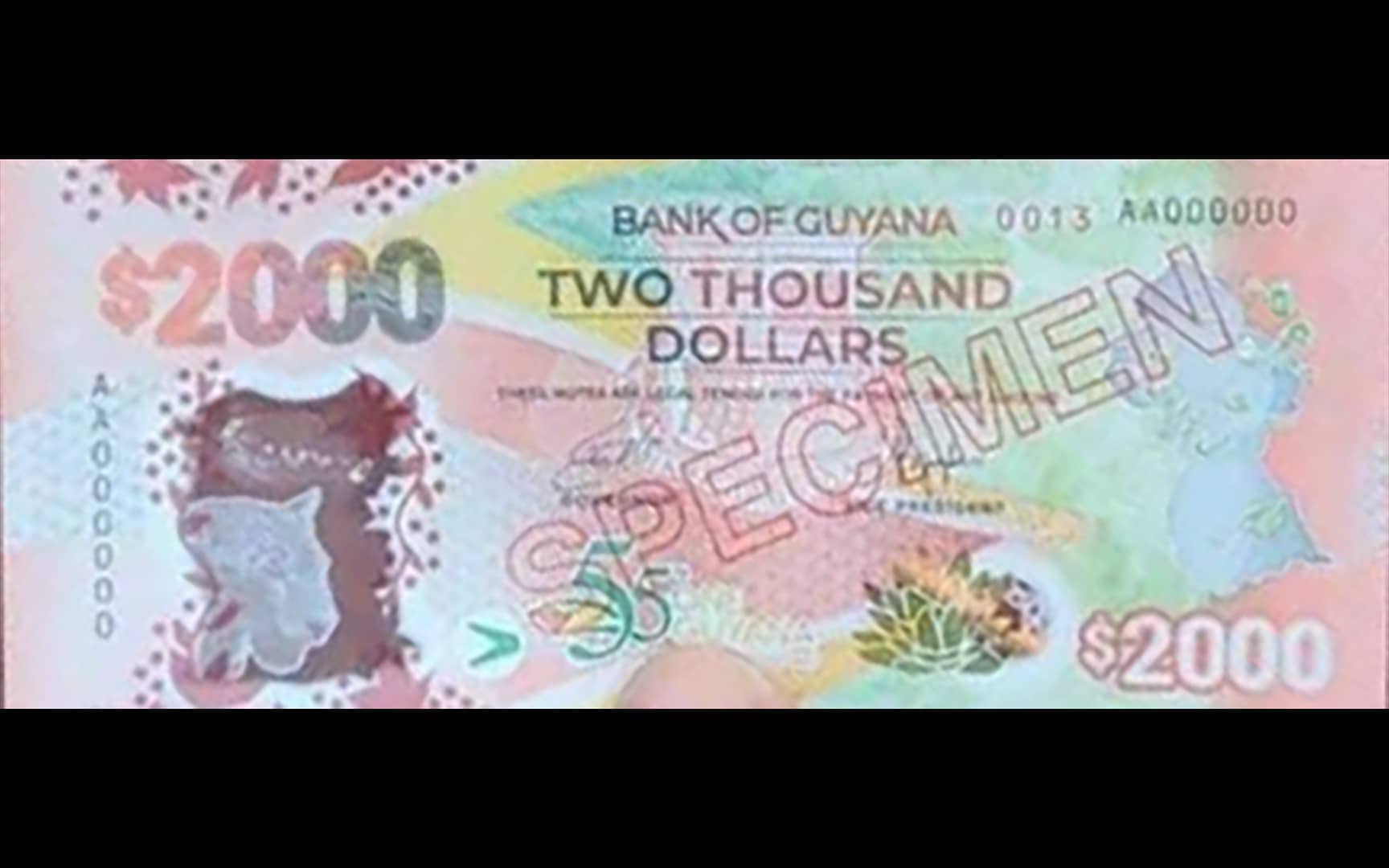 Screen Shot 2022-02-13 at 3.47.00 PM