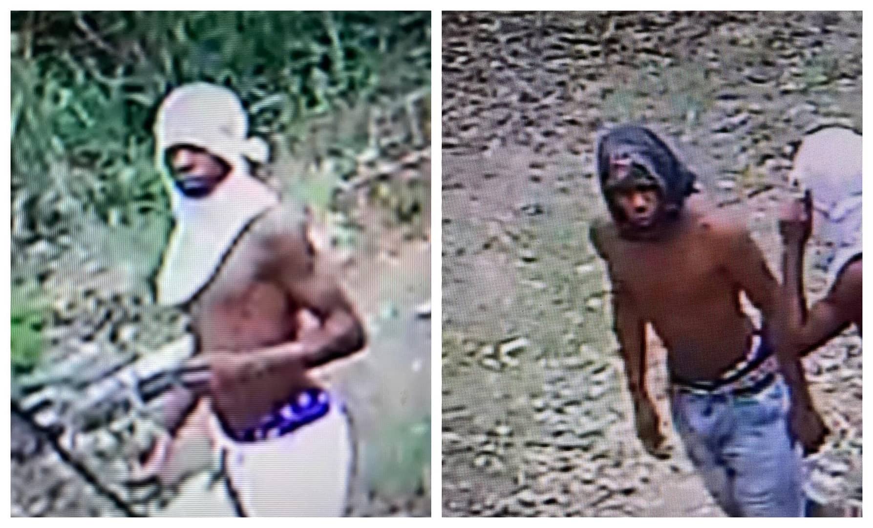 thieves