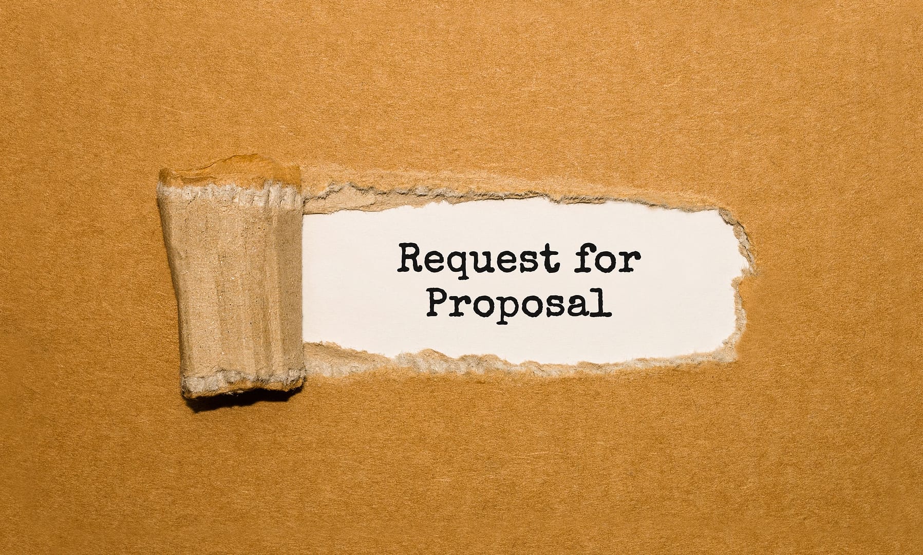 request_for_proposal-853652480-969fc507d67c41fb8585849961f3a493