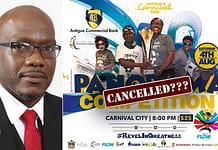 Festivals Minister Daryll Matthew