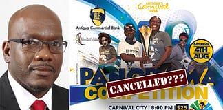 Festivals Minister Daryll Matthew