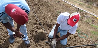 Subsidised Irrigation Programme to Cut Farmers’ Costs