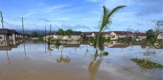 Update: Fourth body found in St Elizabeth, Jamaica