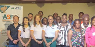 Antigua Focuses on Early Detection and Prevention of African Swine Fever