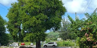 VIDEO: Ongoing Road Improvements in Potters