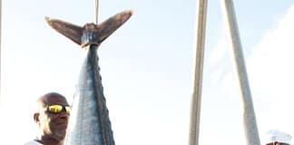 68-Pound Wahoo Tops Weigh-In at Barbuda Ocean Festival