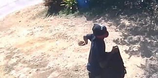 Suspect captured on camera after multiple items reported stolen