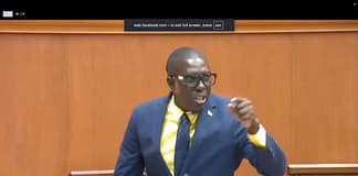 Pringle says UPP would remove all import taxes on electric and renewable-energy vehicles