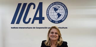 Brazilian agricultural research chief highlights role of regional institute in speeding up innovation