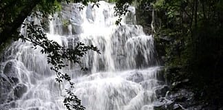 Cabinet Approves Eco-Regeneration Plan for Christian Valley Watershed