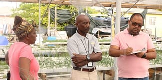 FAO helps farmers assess investment opportunities and preparedness of protected agriculture farms in Antigua and Barbuda