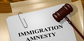 Antigua Cabinet Approves Immigration Amnesty to Address Labour Shortages
