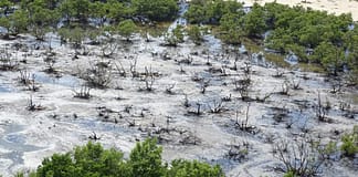 NODS Activates Emergency Response Following Landfill Contaminant Flow into Hermitage Bay