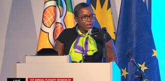 Williams-Grant Urges Targeted Investment to Break Cycle of Economic and Political Exclusion for Women