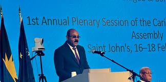 Browne Defends Citizenship by Investment Programme at Caribbean–EU Assembly