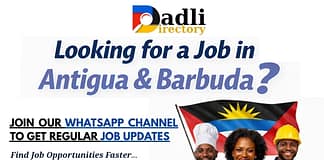 Dadli Directory Launches New Platform to Help You Find Jobs Faster in Antigua & Barbuda