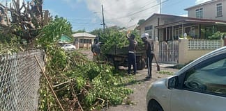 PHOTOS: Clean-Up Drive Sweeps Antigua as Communities Take Pride in Their Spaces