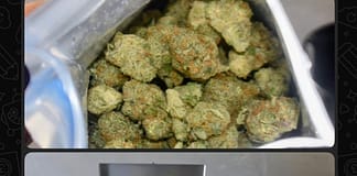 U.S. National Arrested in Connection with Cannabis Importation