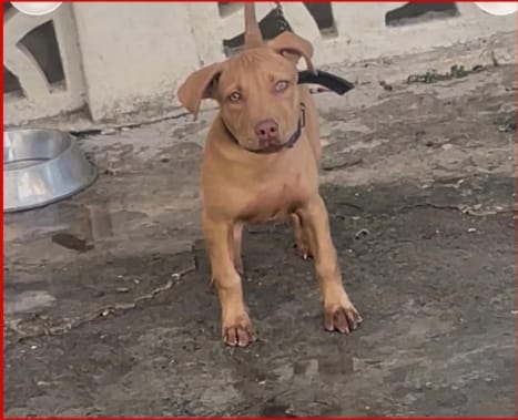 Screenshot_9-12-2025_10441_mail.google.com