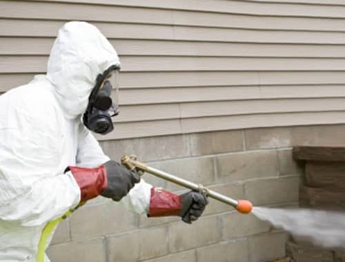 pest-control-management