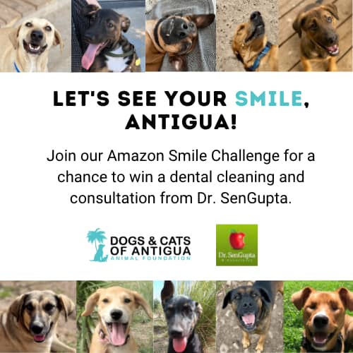 Let's see your smile, antigua!
