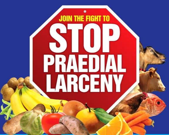 Praedial-Larceny-1-1