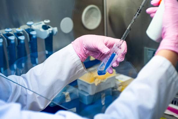 Scientist performing stem cell research for cancer therapy