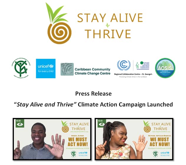 Stay Alive and Thrive - Press Release