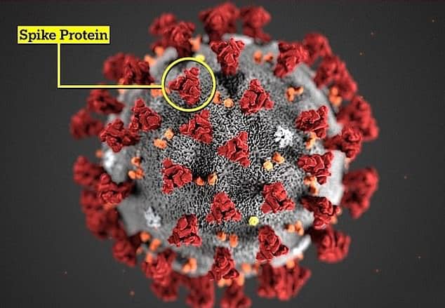 covid-coronavirus-1