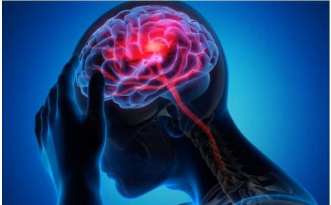 brain