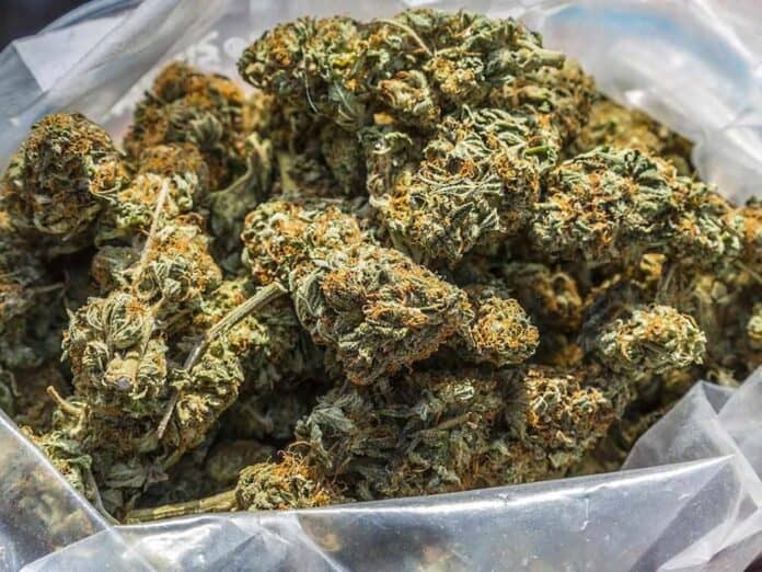 weed